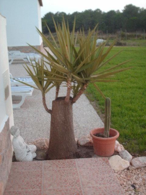 Quinta Da Bunheira Guest House Rogil Bagian luar foto