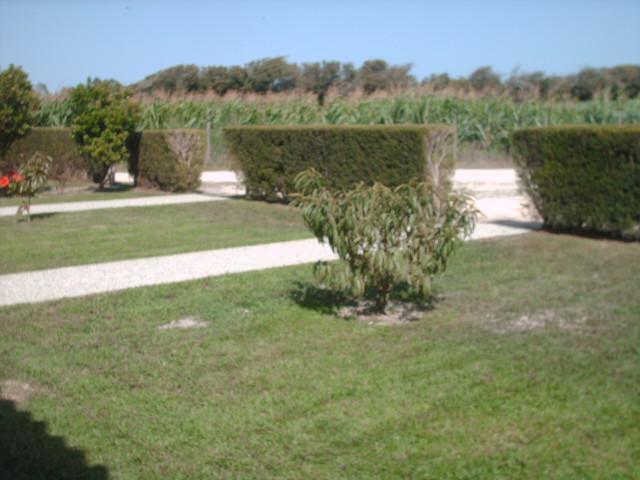 Quinta Da Bunheira Guest House Rogil Bagian luar foto