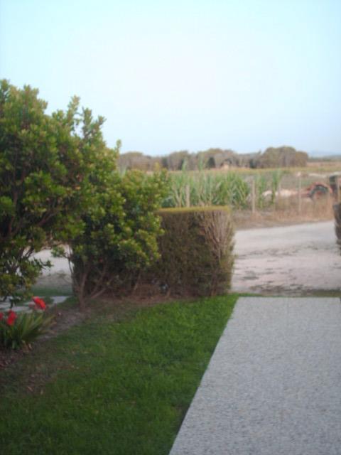 Quinta Da Bunheira Guest House Rogil Bagian luar foto